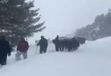 Pregnant woman rescued by Army after snowfall in Jammu and Kashmir