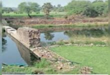 Bank protection work approved downstream of Janglesar Moukhala Anicut