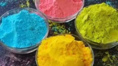 Bastar's Bihaan Didis will add natural colors to Holi