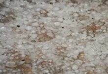 10.4°C in Alwar-Fatehpur, rain in 25 districts of MP