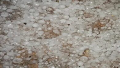 10.4°C in Alwar-Fatehpur, rain in 25 districts of MP