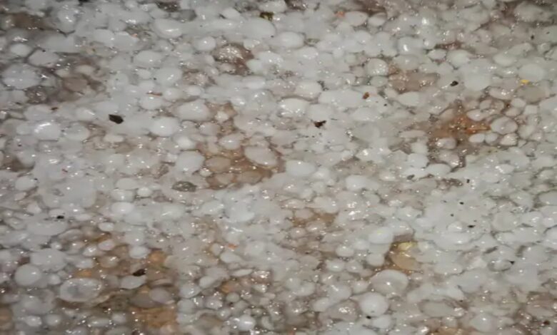 10.4°C in Alwar-Fatehpur, rain in 25 districts of MP