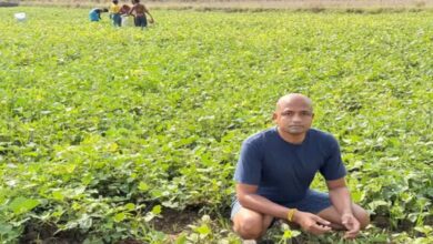 Mahasamund farmer Antaryami Pradhan's 65 acres of organic farmland: a confluence of tradition and innovation