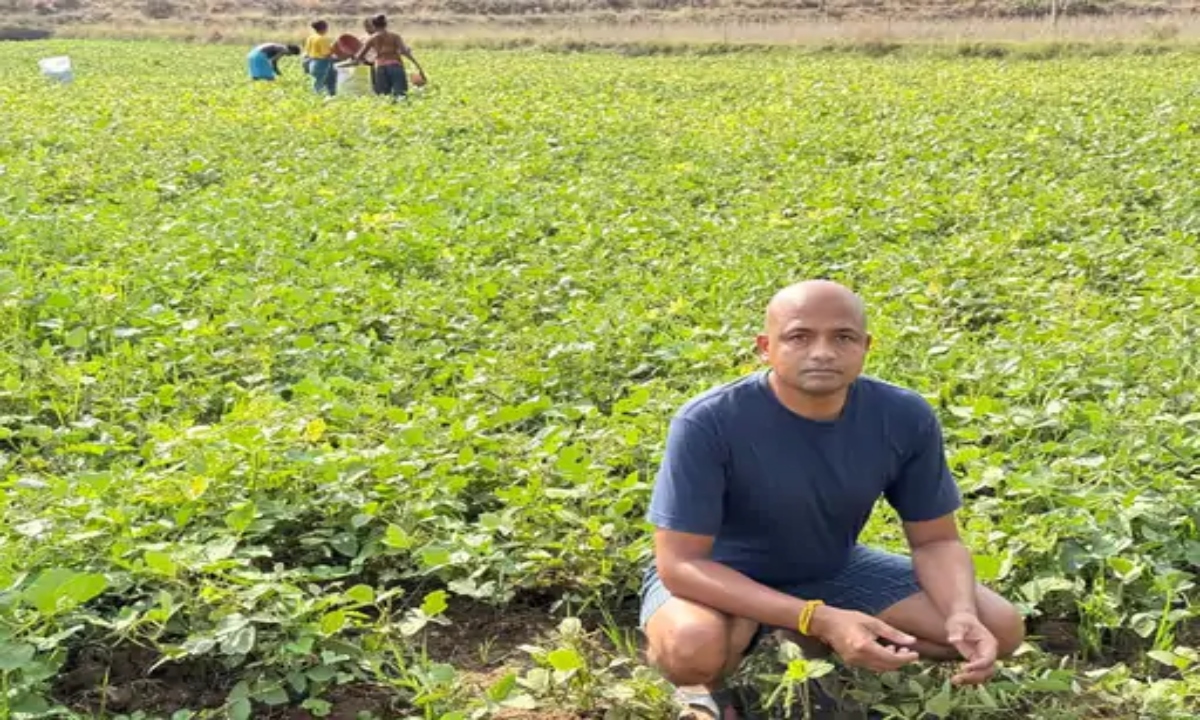 Mahasamund farmer Antaryami Pradhan's 65 acres of organic farmland: a confluence of tradition and innovation