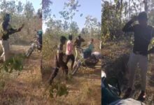 Forest guard caught having fun with girlfriend in nursery