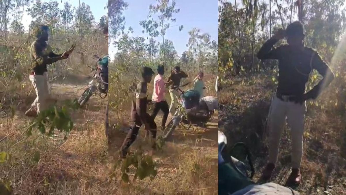 Forest guard caught having fun with girlfriend in nursery