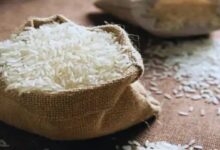 Fortified rice temporarily discontinued under PM Garib Kalyan Anna Yojana