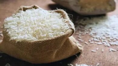 Fortified rice temporarily discontinued under PM Garib Kalyan Anna Yojana