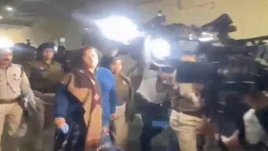 Chhattisgarh liquor scam: Saumya Chaurasia granted conditional bail