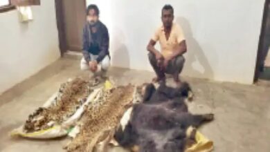 Poacher network still active in Chhattisgarh