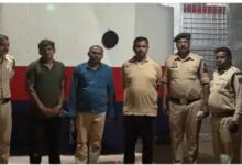 Opium cultivation on 5 acres for 4 years, bouncers were stationed at the farmhouse