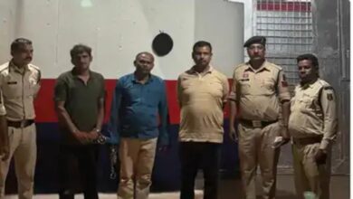 Opium cultivation on 5 acres for 4 years, bouncers were stationed at the farmhouse