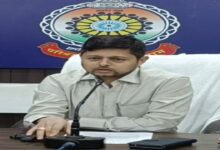 Collector's PC on illegal opium cultivation: Crop spread over more than 5 acres, 4 arrested including BJP leader