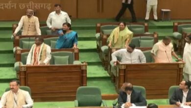 Uproar in the House over encroachment on government land
