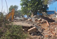 The district administration bulldozed the illegal possession of a BJP leader who cultivated opium.