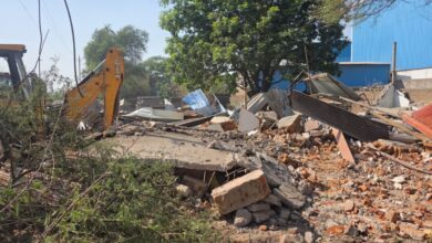 The district administration bulldozed the illegal possession of a BJP leader who cultivated opium.