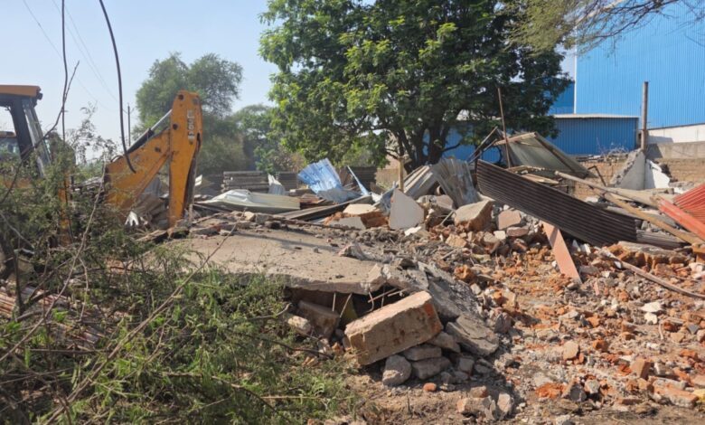 The district administration bulldozed the illegal possession of a BJP leader who cultivated opium.