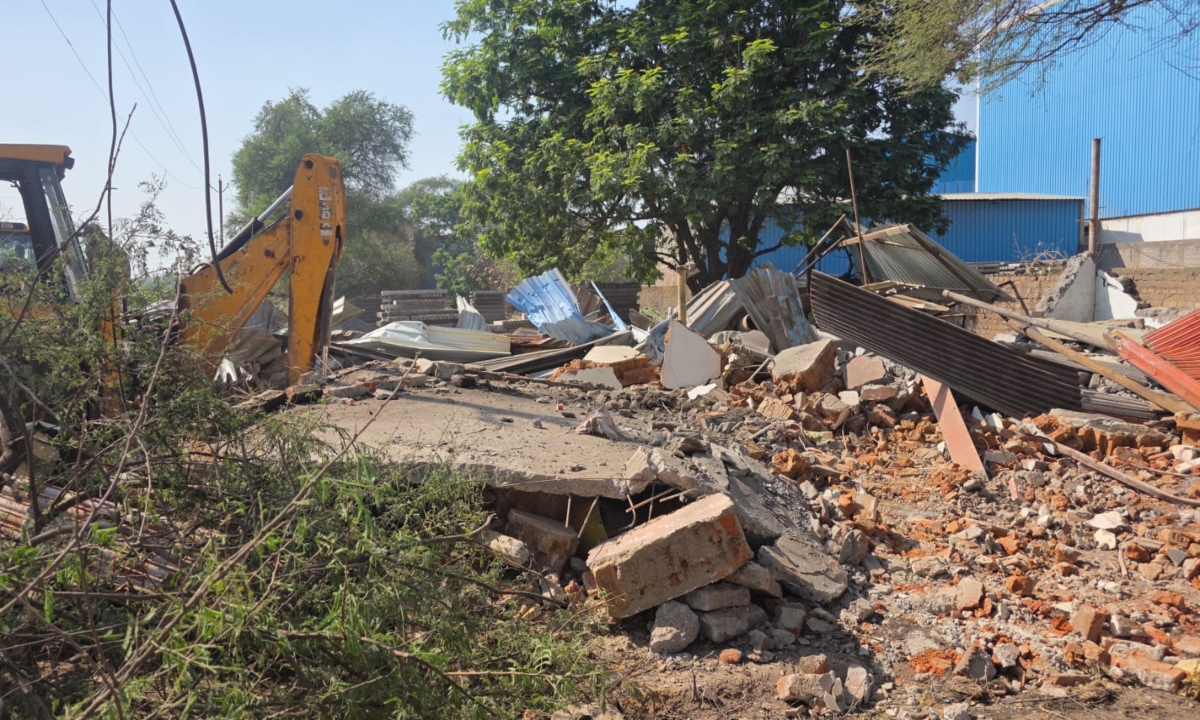 The district administration bulldozed the illegal possession of a BJP leader who cultivated opium.