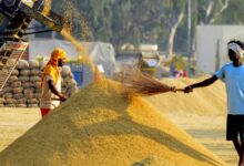 Paddy procurement campaign successful due to digital system and transparency: Food Minister Baghel