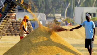 Paddy procurement campaign successful due to digital system and transparency: Food Minister Baghel