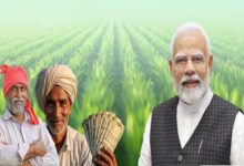 PM Kisan Utsav: 24.71 lakh farmers of Chhattisgarh will get the gift