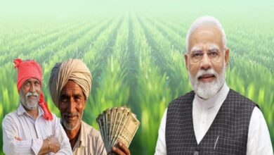 PM Kisan Utsav: 24.71 lakh farmers of Chhattisgarh will get the gift