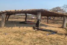 Uncle and niece committed suicide by drinking pesticide