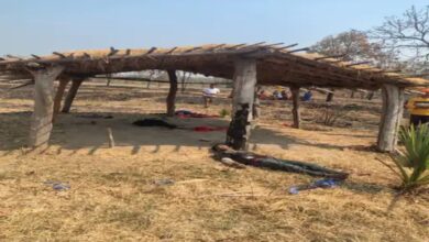 Uncle and niece committed suicide by drinking pesticide