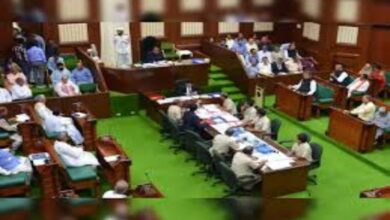 Chhattisgarh Village Industries Budget 2026-27