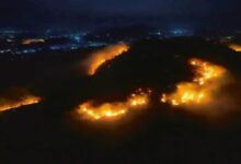 Forests and hills are burning for Mahua.
