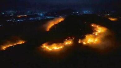 Forests and hills are burning for Mahua.
