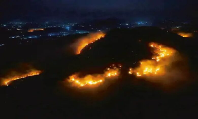 Forests and hills are burning for Mahua.