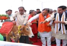 Launch of the 'Gaudham Scheme' in Chhattisgarh