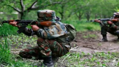 Infiltration Attempt Foiled in Uri, One Terrorist Neutralized; JCO Martyred During Operation in Poonch