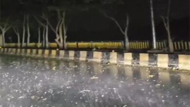 Weather U-Turn in Chhattisgarh: Rain in Raipur and Surguja, Hail in Dhamtari; Alert Issued for 19 Districts Today