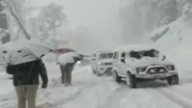 Rain Alert in 17 States; Snowfall in the Mountains