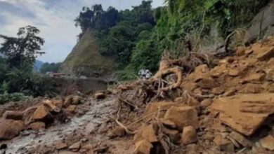 Tragic Accident in Arunachal Pradesh: 4 Laborers Killed, 3 Injured After Being Caught in Landslide