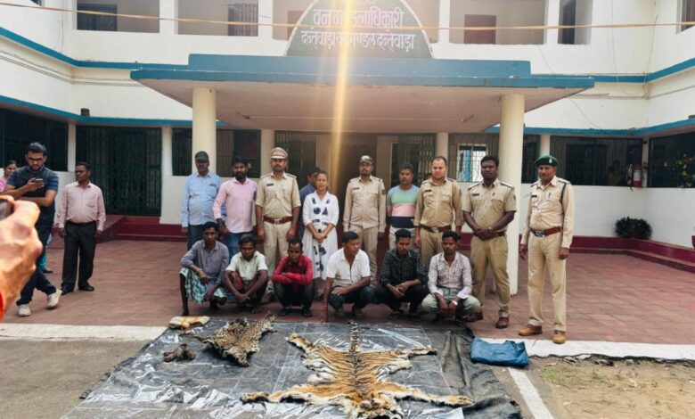 Inter-state gang busted with tiger and leopard skins; 9 arrested, including a Deputy Ranger.
