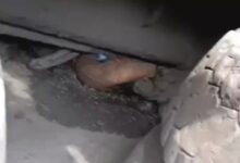 Speeding Truck Crushes Three Friends on Bike; All Die on the Spot; Traffic Jam Clears After Compensation Announced