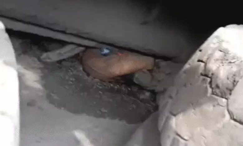 Speeding Truck Crushes Three Friends on Bike; All Die on the Spot; Traffic Jam Clears After Compensation Announced