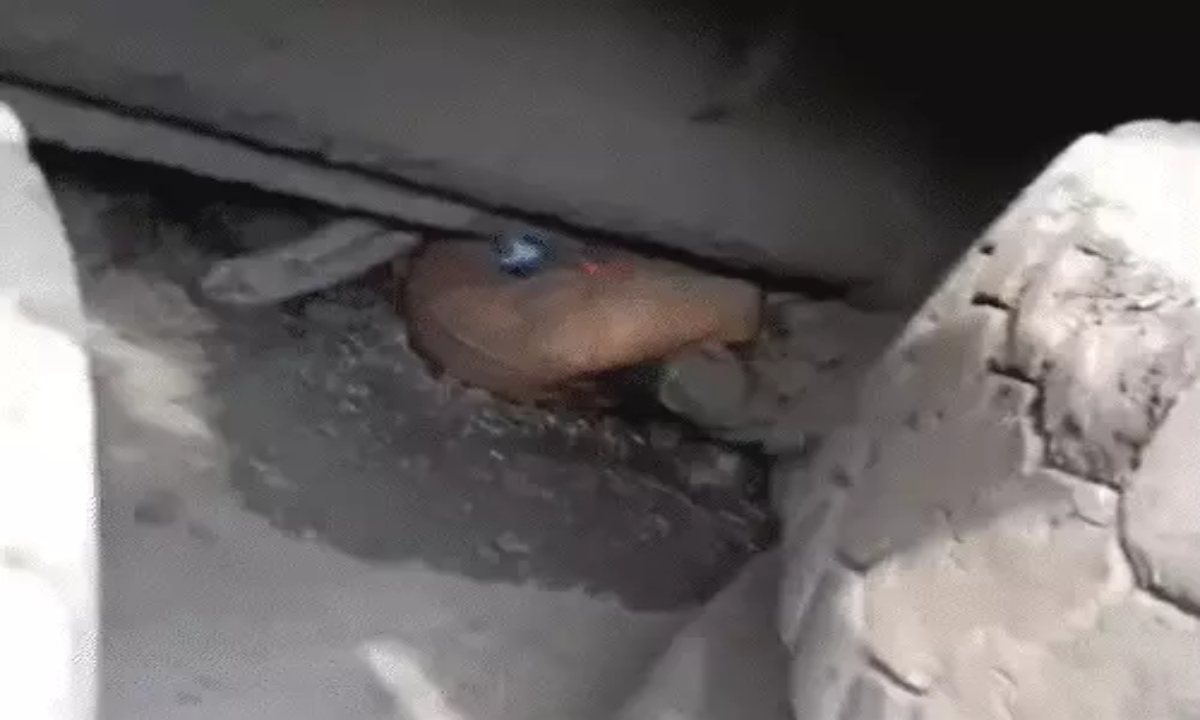 Speeding Truck Crushes Three Friends on Bike; All Die on the Spot; Traffic Jam Clears After Compensation Announced