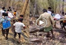 The System on Four Shoulders! Relatives Carry Patient to Hospital on a Cot for 17 Kilometers.