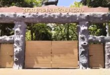 15 Deer Hunted in Sanjay Park: Stray Dogs Enter Enclosure and Kill Them; 4 Suspended, Including Deputy Ranger