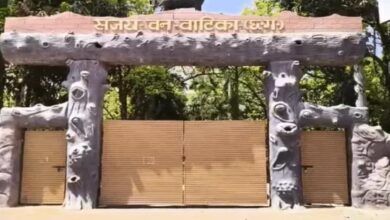 15 Deer Hunted in Sanjay Park: Stray Dogs Enter Enclosure and Kill Them; 4 Suspended, Including Deputy Ranger