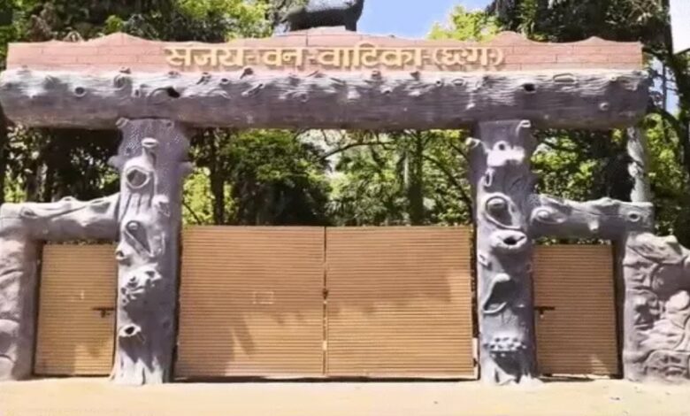 15 Deer Hunted in Sanjay Park: Stray Dogs Enter Enclosure and Kill Them; 4 Suspended, Including Deputy Ranger