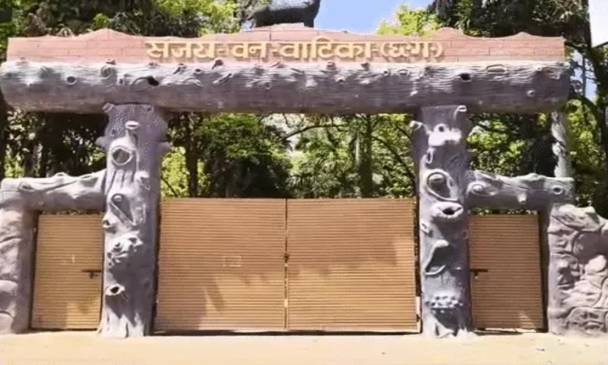 15 Deer Hunted in Sanjay Park: Stray Dogs Enter Enclosure and Kill Them; 4 Suspended, Including Deputy Ranger