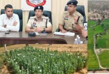 रायगढ़ में अफीम की खेती पर 'सर्जिकल स्ट्राइक'