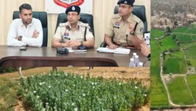 रायगढ़ में अफीम की खेती पर 'सर्जिकल स्ट्राइक'