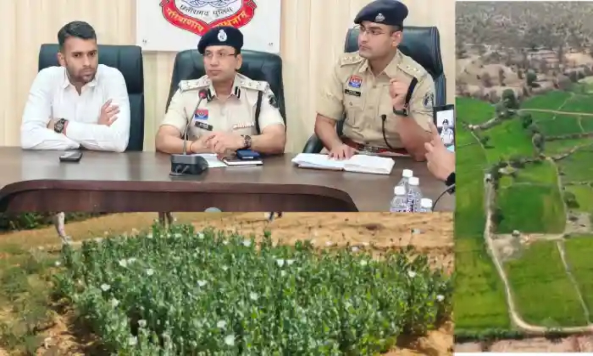 रायगढ़ में अफीम की खेती पर 'सर्जिकल स्ट्राइक'