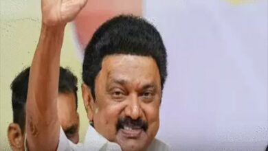 Tamil Nadu Pre-Poll Survey: Signs of Stalin's Return to Power; Setback for Vijay